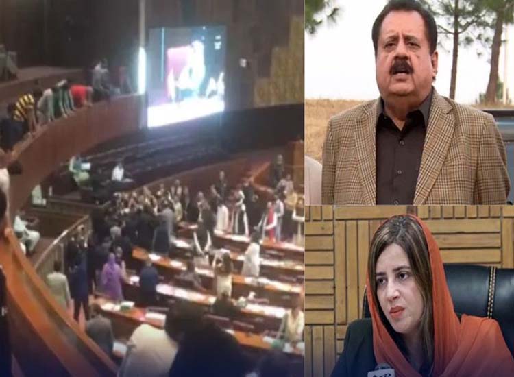 زرتاج گل کو نازیبا کلمات کہنے پر اسپیکر نے طارق بشیر چیمہ کو پورے سیشن ...